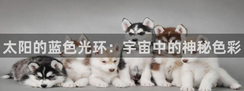 卧龙娱乐场所