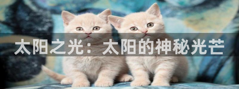 卧龙娱乐山西