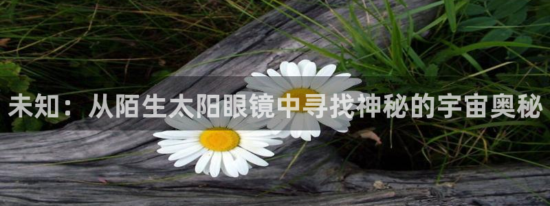 we娱乐 卧龙主管60447