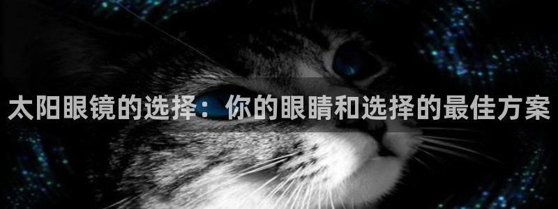 卧龙娱乐有限公司