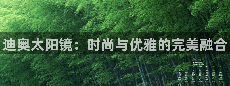 卧龙娱乐挂机软件下载