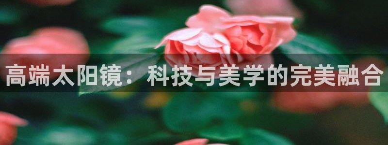 卧龙棋牌娱乐官网