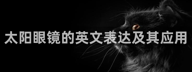 卧龙娱乐日