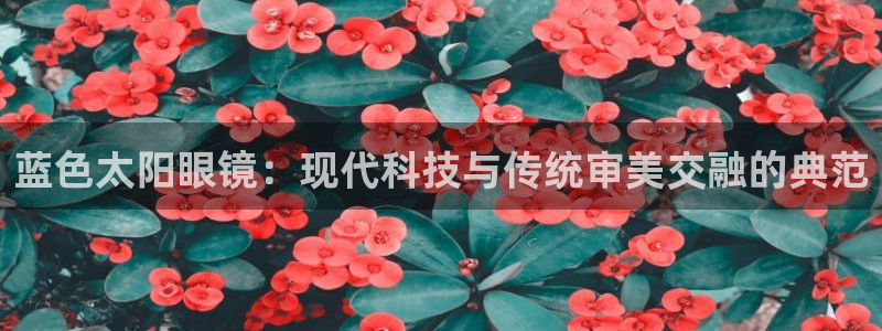 卧龙娱乐软件