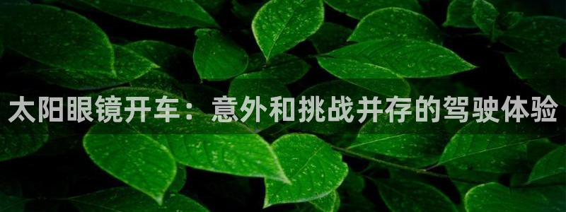 卧龙大型娱乐