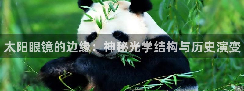卧龙娱乐招商主管薪资