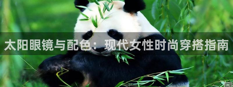 卧龙娱乐前