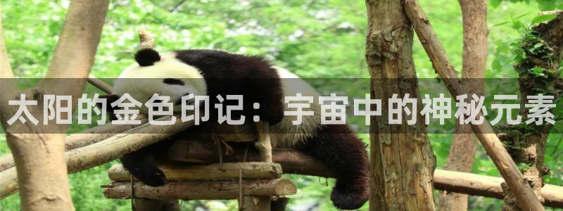 南阳卧龙水之梦娱乐会所