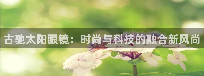 卧龙娱乐