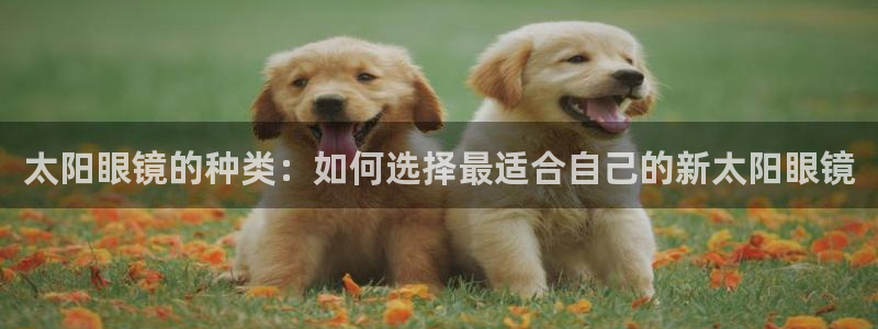 卧龙湾娱乐休闲会所电话