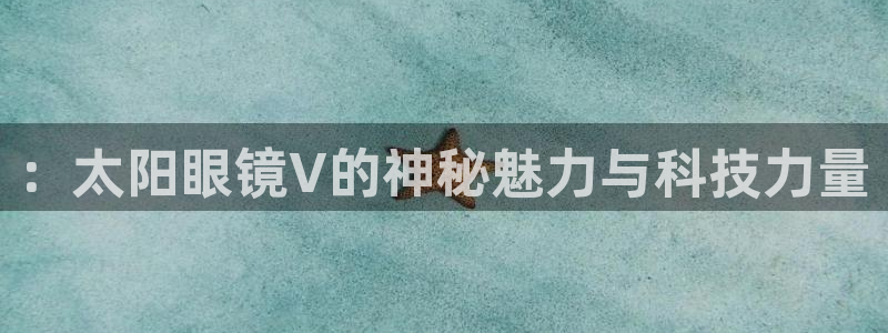 卧龙环岛儿童娱乐