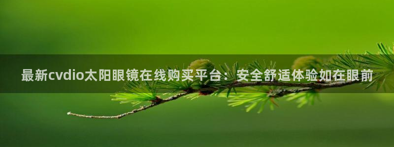 卧龙区维也纳娱乐会所