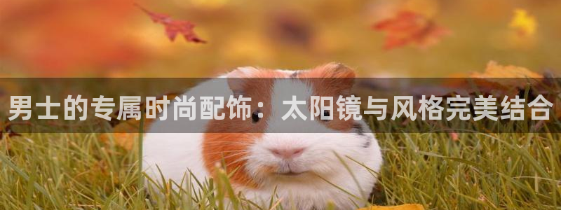 卧龙娱乐在线下载游戏