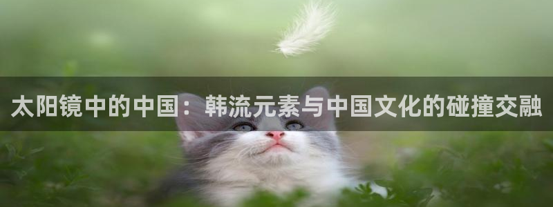 卧龙区休闲娱乐
