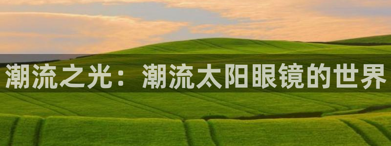 卧龙娱乐总代理是谁呀