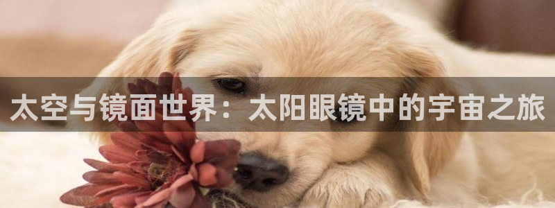 卧龙娱乐平台可靠吗