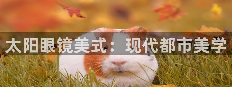 pt娱乐 卧龙招商60447