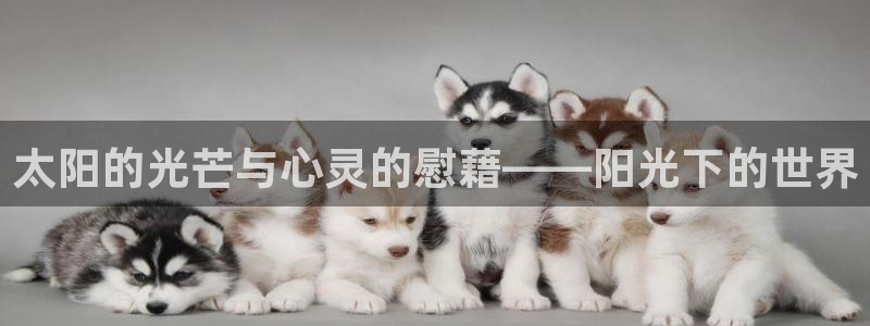郑州卧龙娱乐王凯旋简历