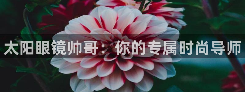 泰安卧龙大观娱乐中心
