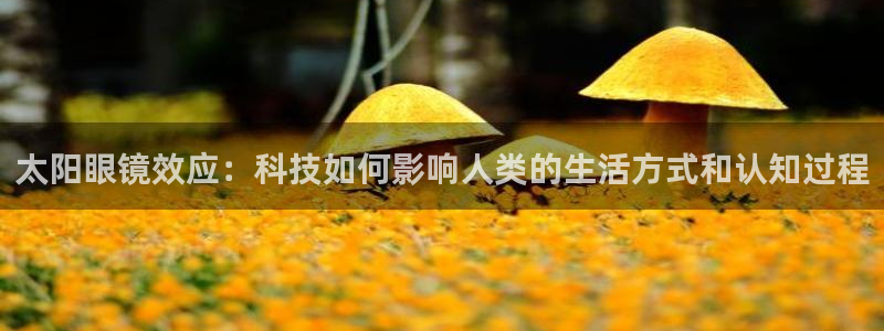卧龙娱乐号