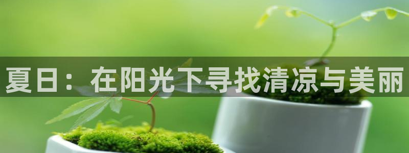 卧龙娱乐月