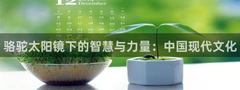 卧龙娱乐322901