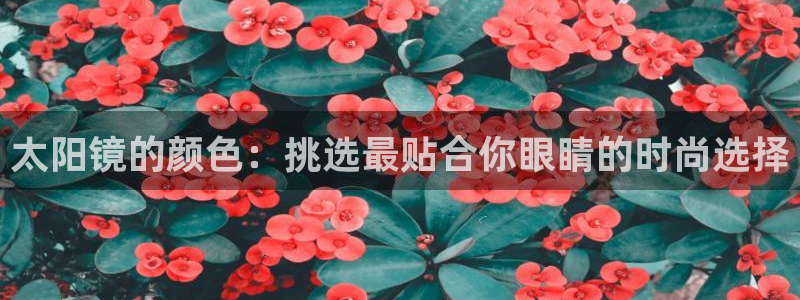 卧龙水上娱乐