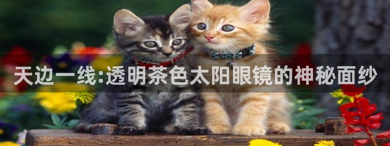 we娱乐 卧龙主管60447