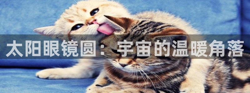 卧龙湾娱乐会所