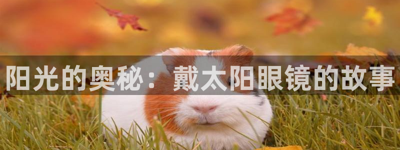 辣椒娱乐卧龙凤雏