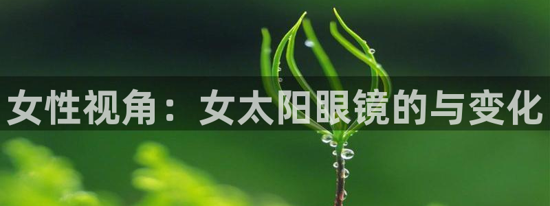 卧龙凤雏娱乐演员