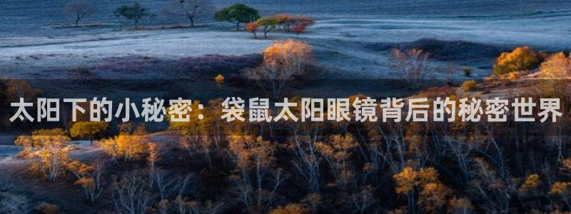 卧龙娱乐月7O667