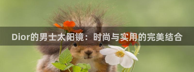 卧龙娱乐在线官网