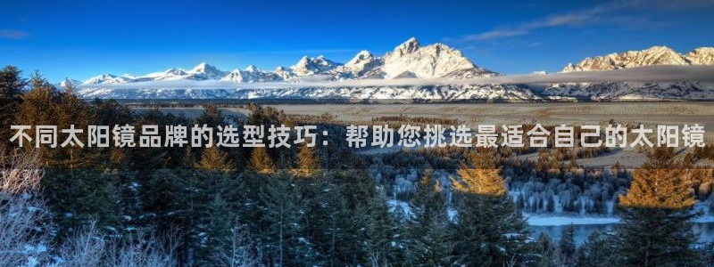 卧龙凤雏娱乐解说