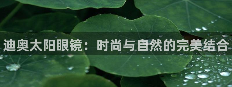 卧龙娱乐 找86555