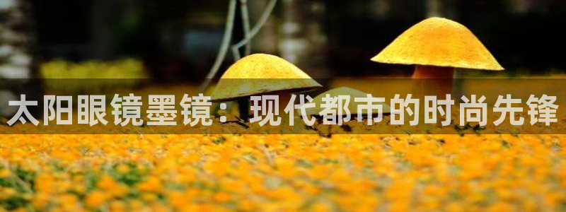 卧龙娱乐招商代理怎么样