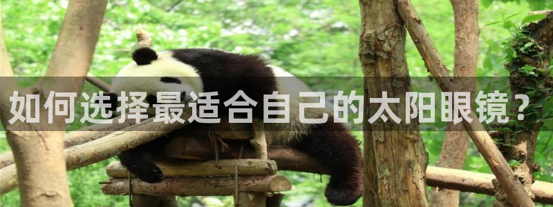 南阳卧龙水之梦娱乐会所