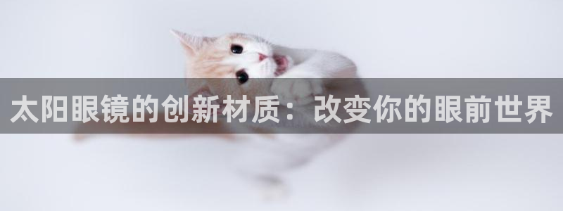 卧龙环岛儿童娱乐