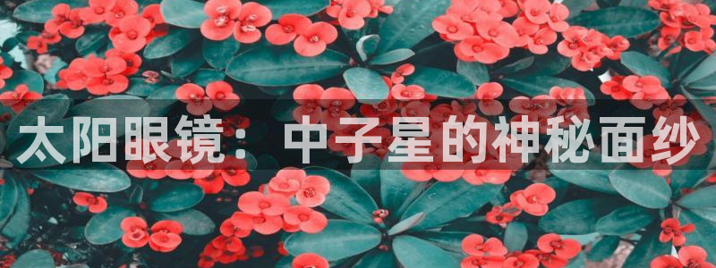 卧龙凤雏娱乐夫妻