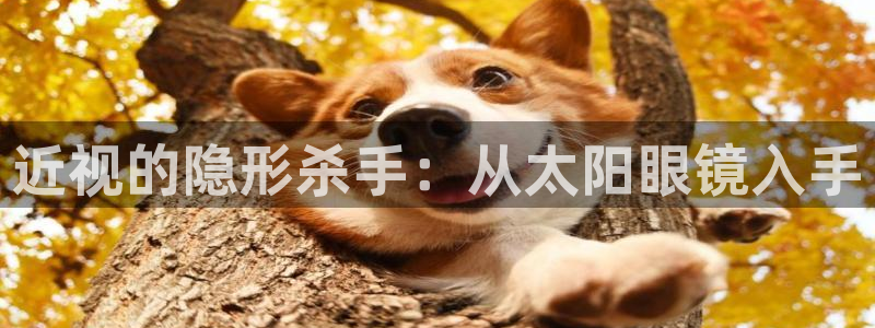 卧龙娱乐官网首页