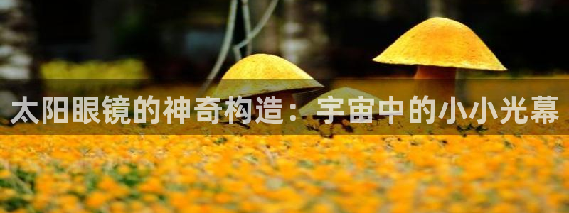 卧龙名都娱乐会所