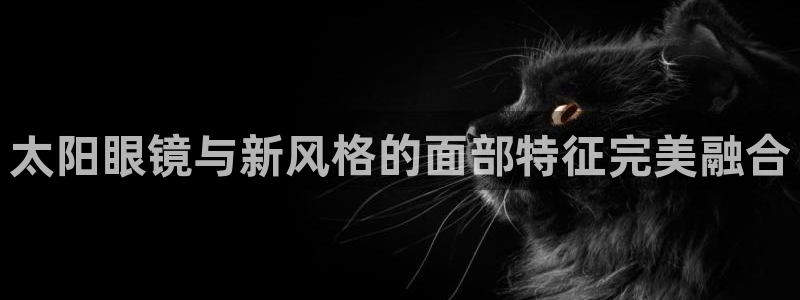 卧龙区夜晚娱乐