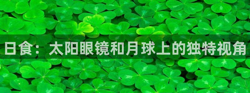 郑州卧龙娱乐王凯旋简历