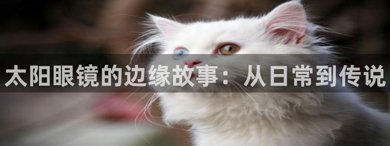 卧龙区娱乐会所