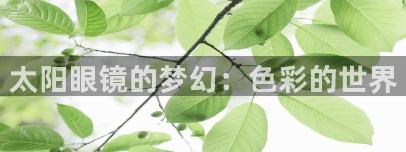 卧龙娱乐属于什么行业