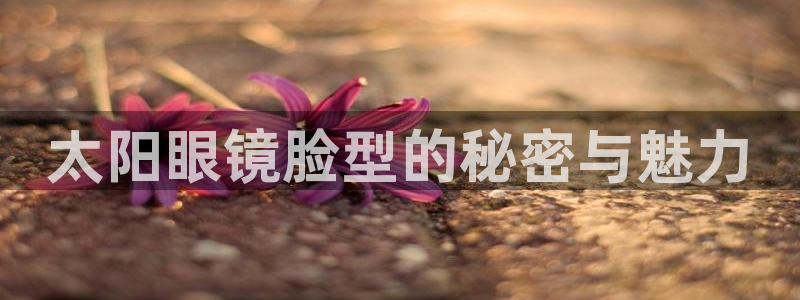 卧龙娱乐老板是谁呀视频