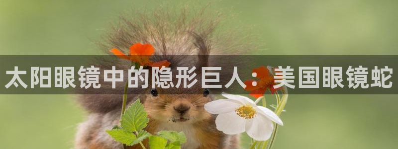 卧龙娱乐主管招聘信息