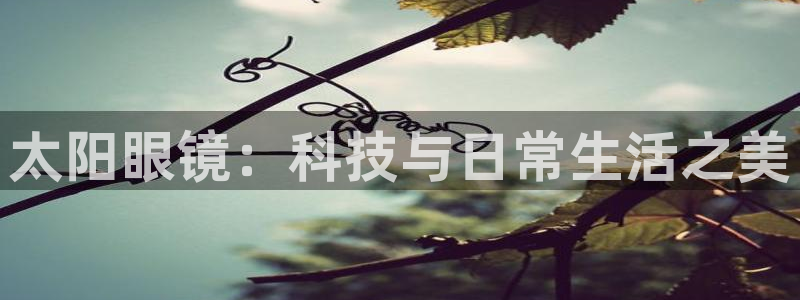 卧龙娱乐招商代理怎么样