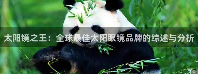 星鸿娱乐 0 47卧龙