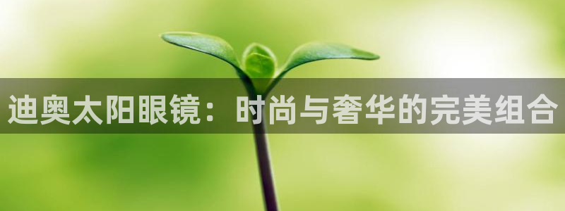 卧龙牧原娱乐设施